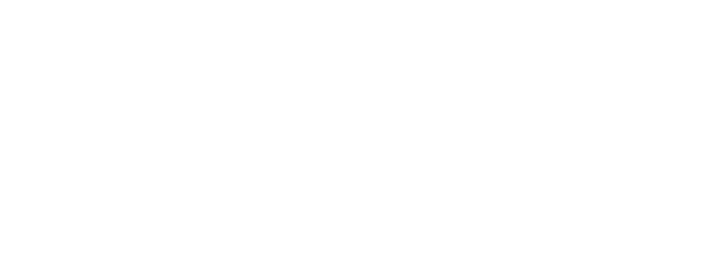 Rifenix sistemas de Rifas